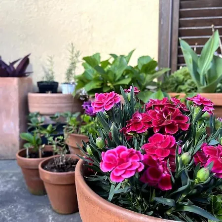 Lejlighed Casa Cervo