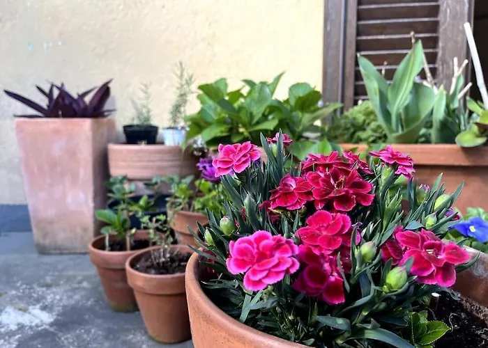 Appartamento Casa Cervo